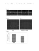 COMPOSITION USED AS A NUTRITIONAL SUPPLEMENT AND MEDICATION FOR THE TREATMENT OF DEGENERATIVE VISUAL DISORDERS AND INFLAMMATION diagram and image