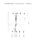 COMPOSITIONS AND METHODS FOR TREATING COLLAGEN-MEDIATED DISEASES diagram and image