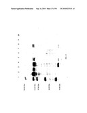 COMPOSITIONS AND METHODS FOR TREATING COLLAGEN-MEDIATED DISEASES diagram and image