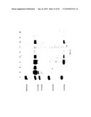 COMPOSITIONS AND METHODS FOR TREATING COLLAGEN-MEDIATED DISEASES diagram and image