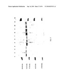 COMPOSITIONS AND METHODS FOR TREATING COLLAGEN-MEDIATED DISEASES diagram and image