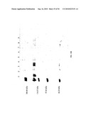 COMPOSITIONS AND METHODS FOR TREATING COLLAGEN-MEDIATED DISEASES diagram and image