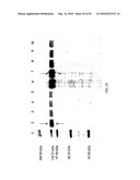 COMPOSITIONS AND METHODS FOR TREATING COLLAGEN-MEDIATED DISEASES diagram and image