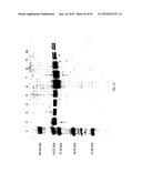 COMPOSITIONS AND METHODS FOR TREATING COLLAGEN-MEDIATED DISEASES diagram and image