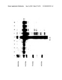 COMPOSITIONS AND METHODS FOR TREATING COLLAGEN-MEDIATED DISEASES diagram and image