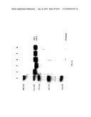 COMPOSITIONS AND METHODS FOR TREATING COLLAGEN-MEDIATED DISEASES diagram and image