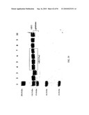 COMPOSITIONS AND METHODS FOR TREATING COLLAGEN-MEDIATED DISEASES diagram and image