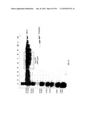 COMPOSITIONS AND METHODS FOR TREATING COLLAGEN-MEDIATED DISEASES diagram and image