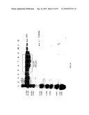 COMPOSITIONS AND METHODS FOR TREATING COLLAGEN-MEDIATED DISEASES diagram and image