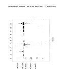 COMPOSITIONS AND METHODS FOR TREATING COLLAGEN-MEDIATED DISEASES diagram and image