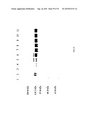 COMPOSITIONS AND METHODS FOR TREATING COLLAGEN-MEDIATED DISEASES diagram and image