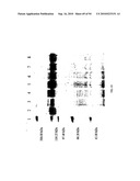 COMPOSITIONS AND METHODS FOR TREATING COLLAGEN-MEDIATED DISEASES diagram and image