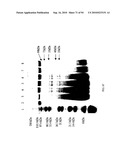 COMPOSITIONS AND METHODS FOR TREATING COLLAGEN-MEDIATED DISEASES diagram and image