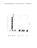 COMPOSITIONS AND METHODS FOR TREATING COLLAGEN-MEDIATED DISEASES diagram and image