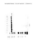 COMPOSITIONS AND METHODS FOR TREATING COLLAGEN-MEDIATED DISEASES diagram and image