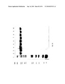 COMPOSITIONS AND METHODS FOR TREATING COLLAGEN-MEDIATED DISEASES diagram and image