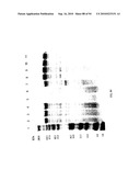 COMPOSITIONS AND METHODS FOR TREATING COLLAGEN-MEDIATED DISEASES diagram and image