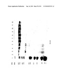 COMPOSITIONS AND METHODS FOR TREATING COLLAGEN-MEDIATED DISEASES diagram and image