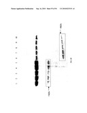 COMPOSITIONS AND METHODS FOR TREATING COLLAGEN-MEDIATED DISEASES diagram and image