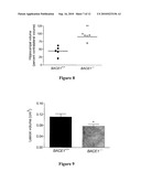 Treating Central Nervous System Injury with Beta and Gamma Secretase Inhibitors diagram and image