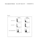 HUMAN ANTIBODIES AGAINST HUMAN FAS AND THEIR USE diagram and image