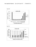 HUMAN ANTIBODIES AGAINST HUMAN FAS AND THEIR USE diagram and image