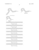 ANTIBODIES RELATING TO PIVKAII AND USES THEREOF diagram and image