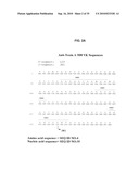 ANTIBODIES AGAINST CLOSTRIDIUM DIFFICILE TOXINS AND USES THEREOF diagram and image