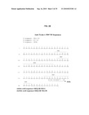 ANTIBODIES AGAINST CLOSTRIDIUM DIFFICILE TOXINS AND USES THEREOF diagram and image