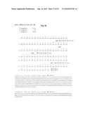 ANTIBODIES AGAINST CLOSTRIDIUM DIFFICILE TOXINS AND USES THEREOF diagram and image