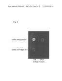 Caries Risk Test for Predicting and Assessing the Risk of Disease diagram and image