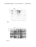 Caries Risk Test for Predicting and Assessing the Risk of Disease diagram and image