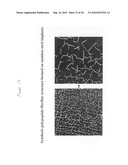 Method of surface coating devices to incorporate bioactive molecules diagram and image