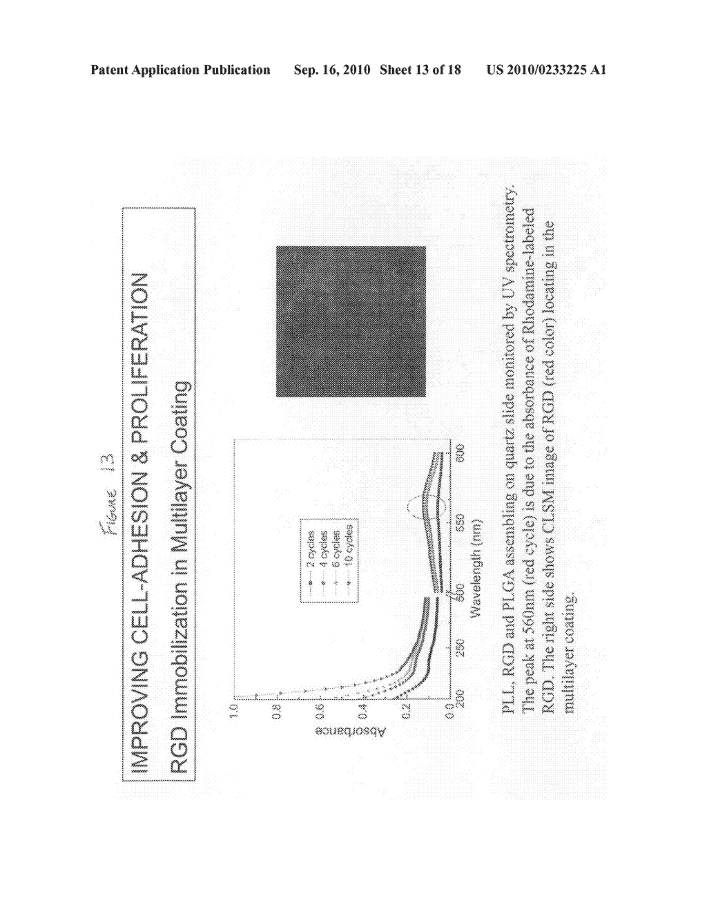 Method of surface coating devices to incorporate bioactive molecules - diagram, schematic, and image 14