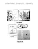 SOL-GEL NANOSTRUCTURED TITANIA RESERVOIRS FOR USE IN THE CONTROLLED RELEASE OF DRUGS IN THE CENTRAL NERVOUS SYSTEM AND METHOD OF SYNTHESIS diagram and image