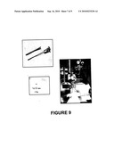 SOL-GEL NANOSTRUCTURED TITANIA RESERVOIRS FOR USE IN THE CONTROLLED RELEASE OF DRUGS IN THE CENTRAL NERVOUS SYSTEM AND METHOD OF SYNTHESIS diagram and image