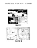 SOL-GEL NANOSTRUCTURED TITANIA RESERVOIRS FOR USE IN THE CONTROLLED RELEASE OF DRUGS IN THE CENTRAL NERVOUS SYSTEM AND METHOD OF SYNTHESIS diagram and image