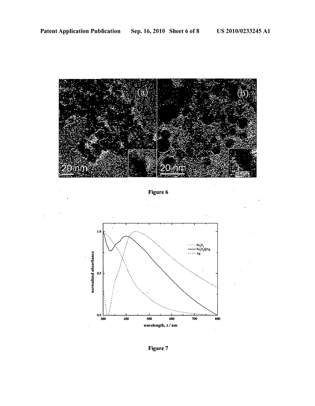 NANOPARTICLE COMPOSITION AND PROCESS THEREOF - diagram, schematic, and image 07