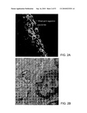 Vaccine Nanotechnology diagram and image