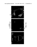 Vaccine Nanotechnology diagram and image