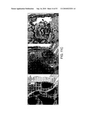 Vaccine Nanotechnology diagram and image