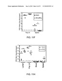 Vaccine Nanotechnology diagram and image