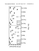 Vaccine Nanotechnology diagram and image