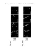 Vaccine Nanotechnology diagram and image