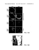 Vaccine Nanotechnology diagram and image