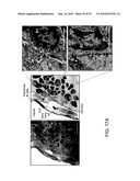 Vaccine Nanotechnology diagram and image