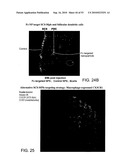 Vaccine Nanotechnology diagram and image