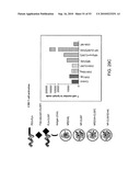 Vaccine Nanotechnology diagram and image