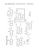 Vaccine Nanotechnology diagram and image