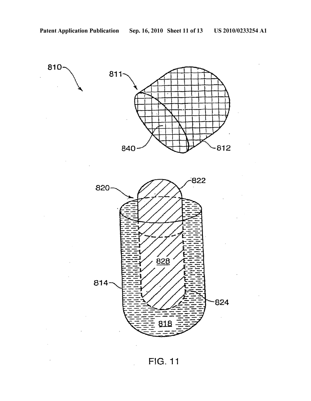 MULTI-PHASE, MULTI-COMPARTMENT, CAPSULAR DELIVERY APPARATUS AND METHODS FOR USING THE SAME - diagram, schematic, and image 12